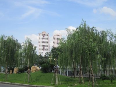Cho thuê căn hộ Cho thuê căn hộ chung cư quận 3, dự án Screc Tower đường kênh Nhiêu Lộc